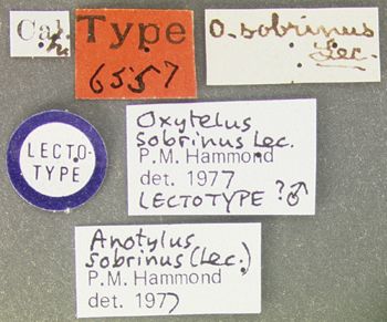Media type: image;   Entomology 6557 Aspect: labels